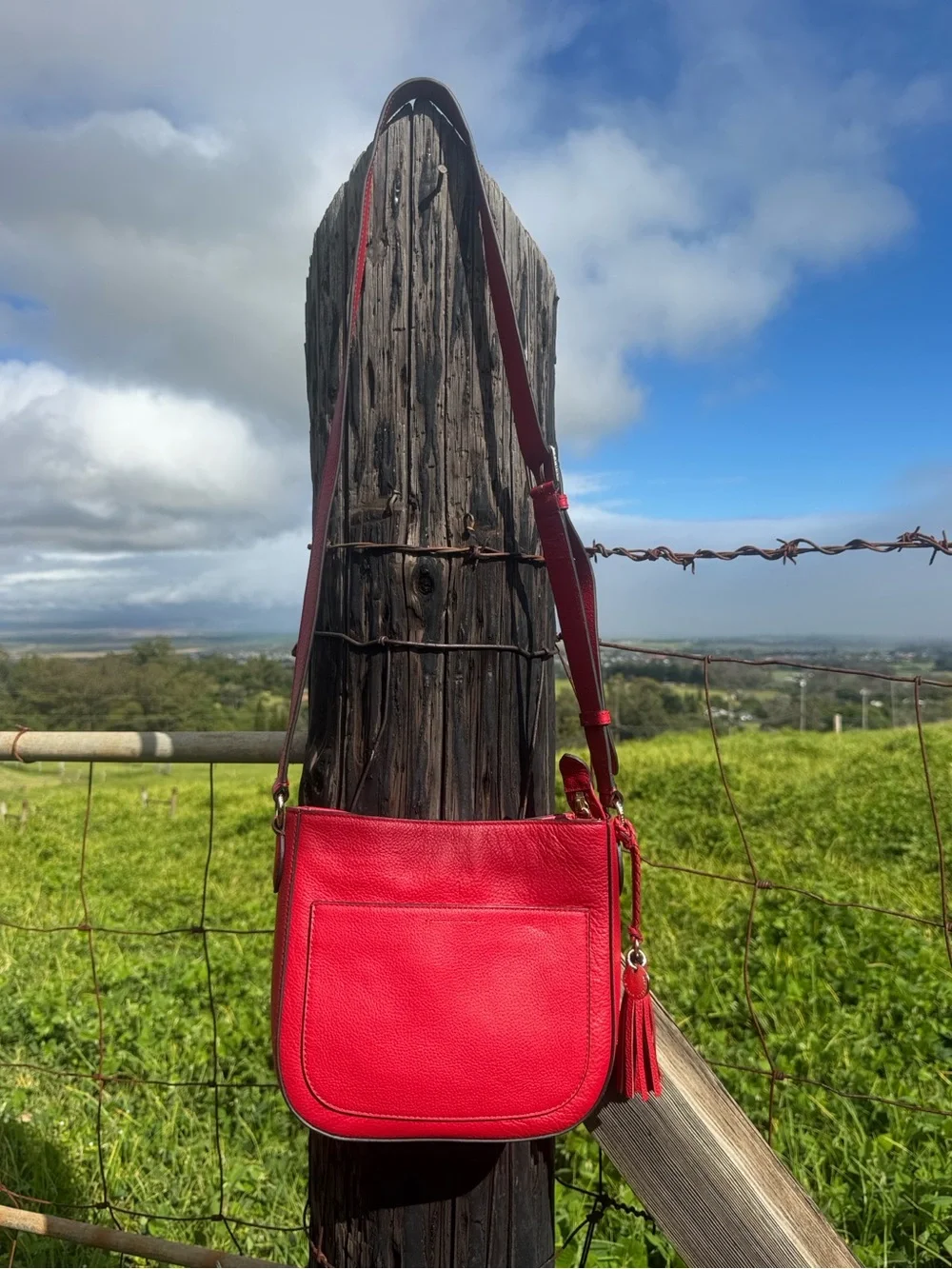 Cole Haan Tomato Red Pebbled Leather Tasseled  Crossbody Bag